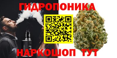стаф Гусев