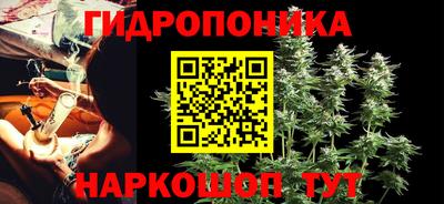 стаф Гусев