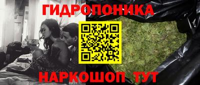 стаф Гусев