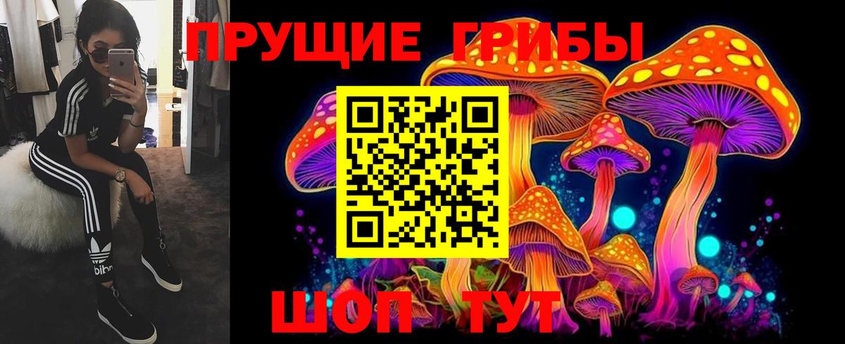 Псилоцибиновые грибы прущие грибы Набережные Челны